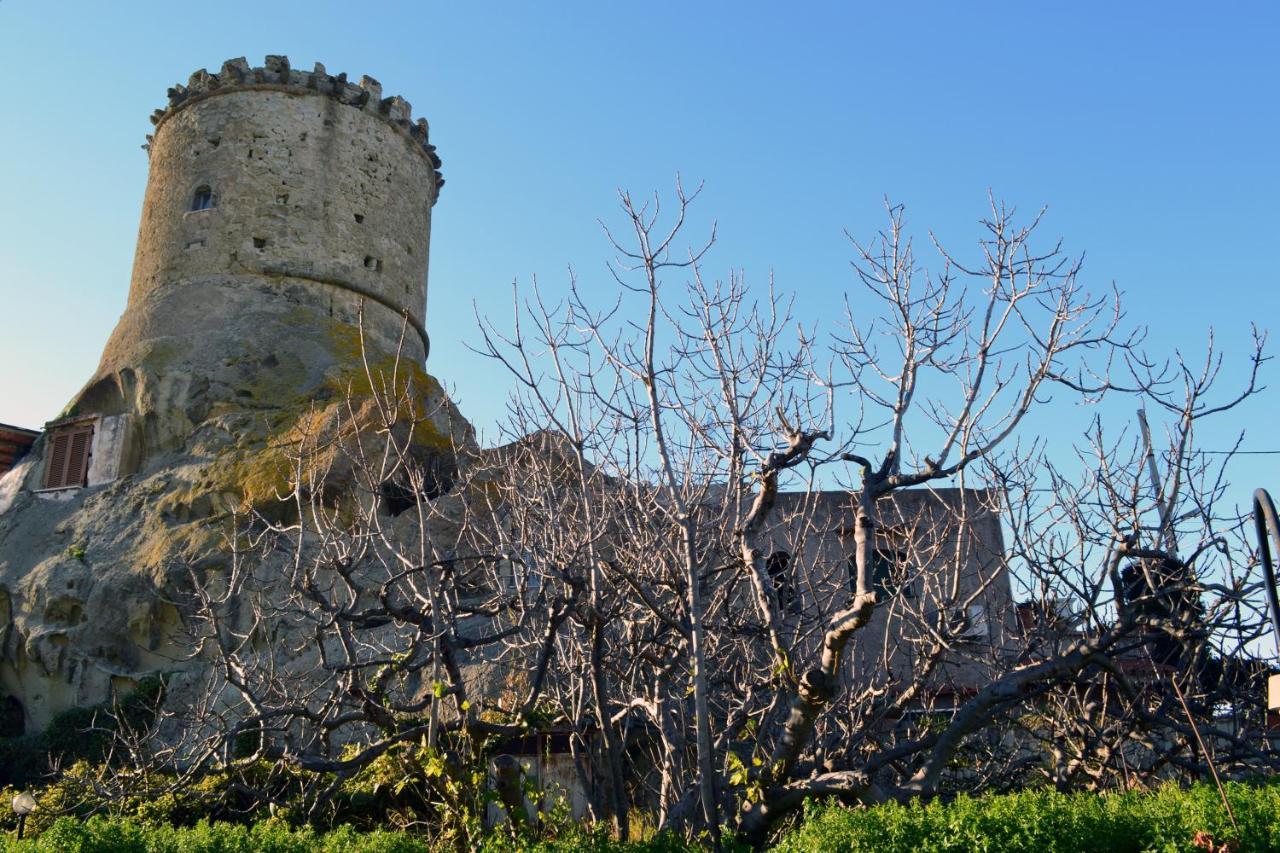 L'agrumeto * Forio di Ischia